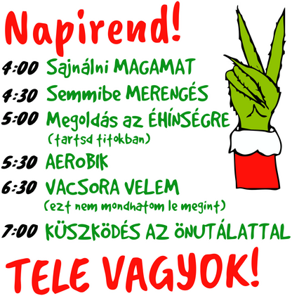 Karácsonyi Póló - Napirend