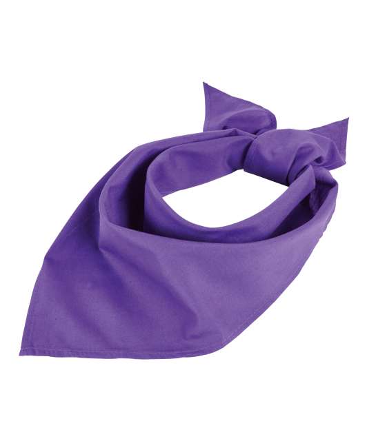 SOL'S BANDANA SO01198